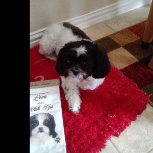 Meet your Posher, Ladora